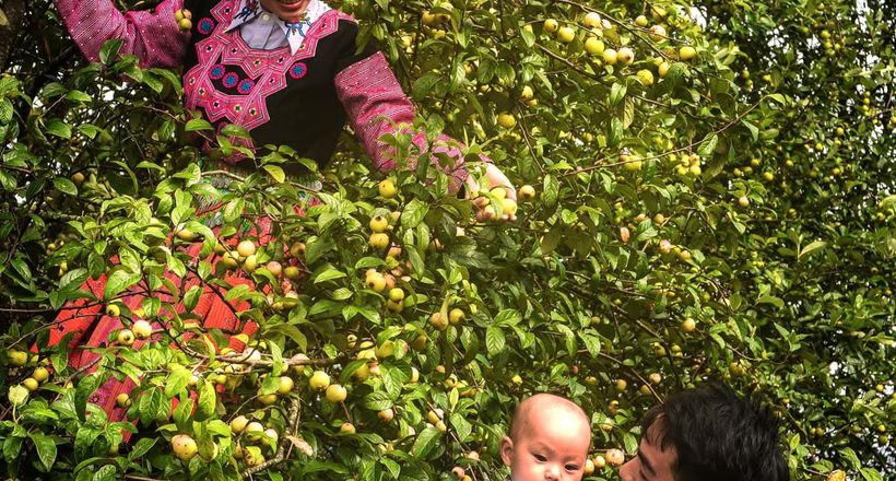Hệ thống tour trekking "Ngũ Hành Sơn" từ bản Nậm Nghẹp