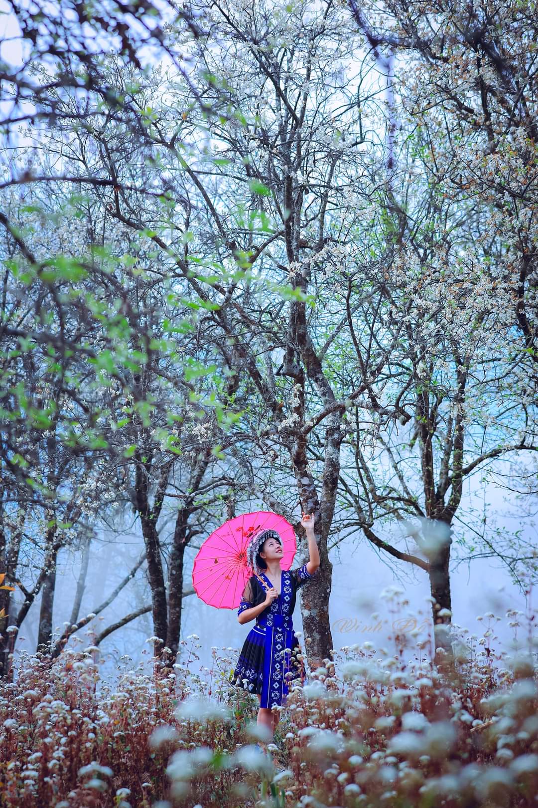 Bản Nậm Nghiệp mùa hoa Sơn Tra
