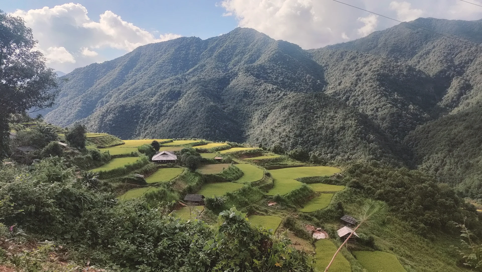 Gạo Ngọc Chiến 
